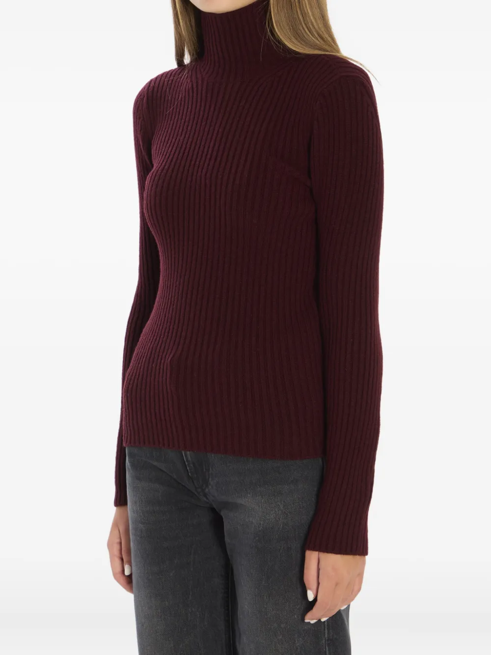 Max Mara Wool And Cashmere High Neck Knit Top In Burgundy