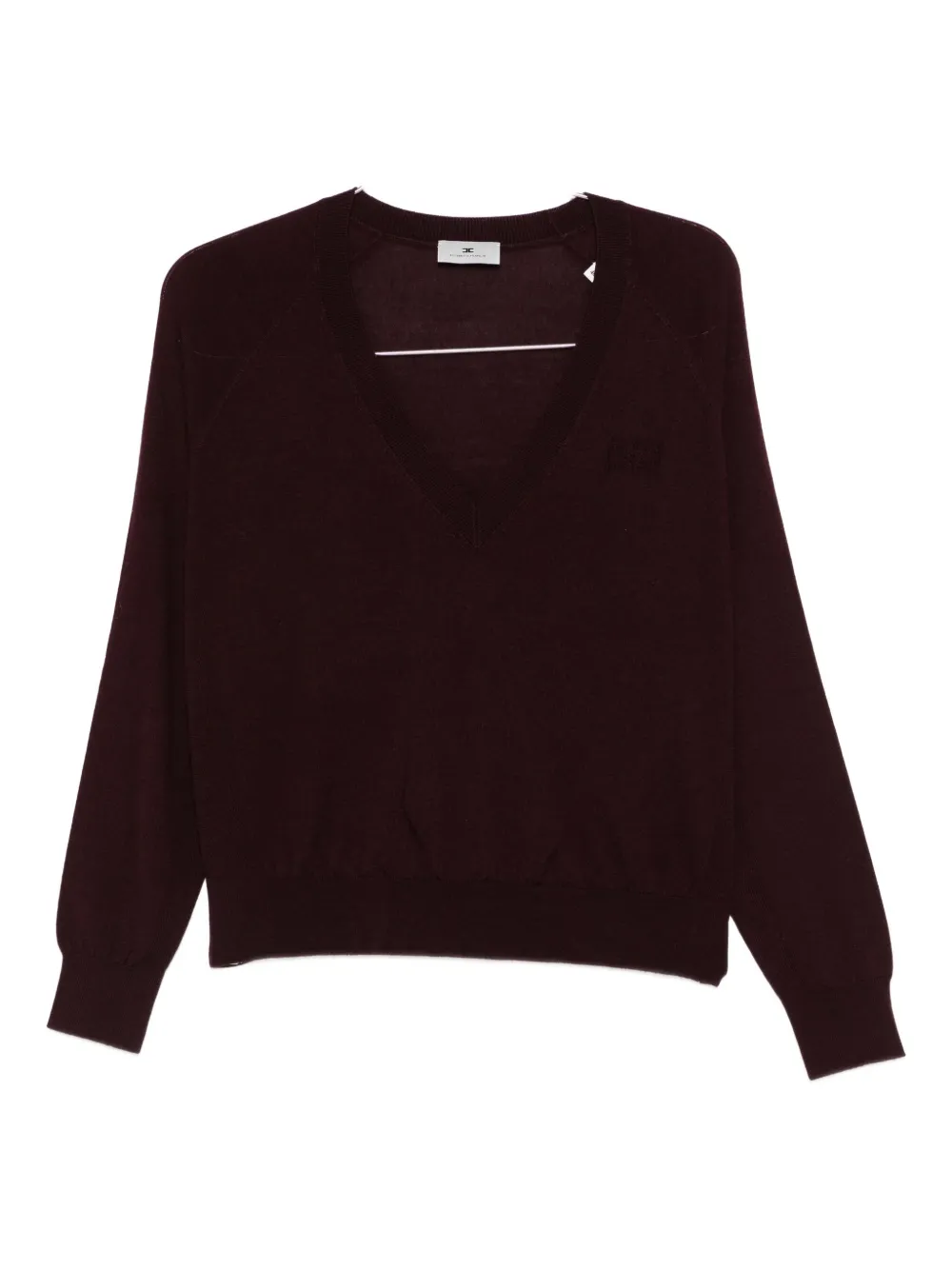 Elisabetta Franchi V-neck Sweater In Burgundy