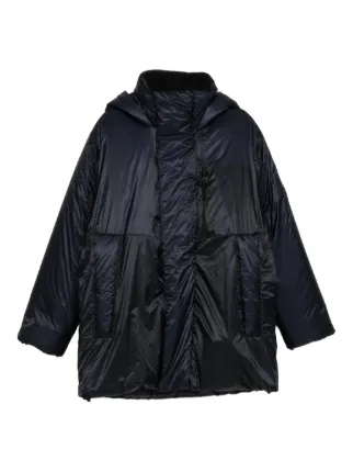 Rains