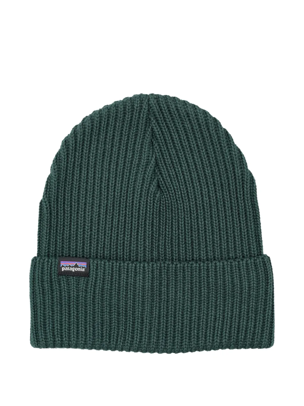 Patagonia Brodeo ribbed beanie | Green | Image 1