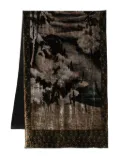 Pierre-Louis Mascia landscape-print velvet scarf - Brown