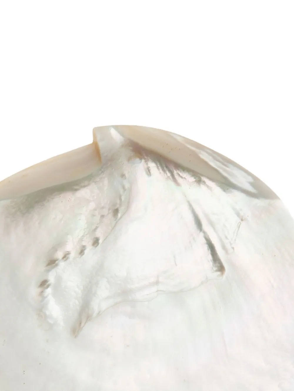 Gohar World set de caviar con madreperla | Piezas para servir | Image 2