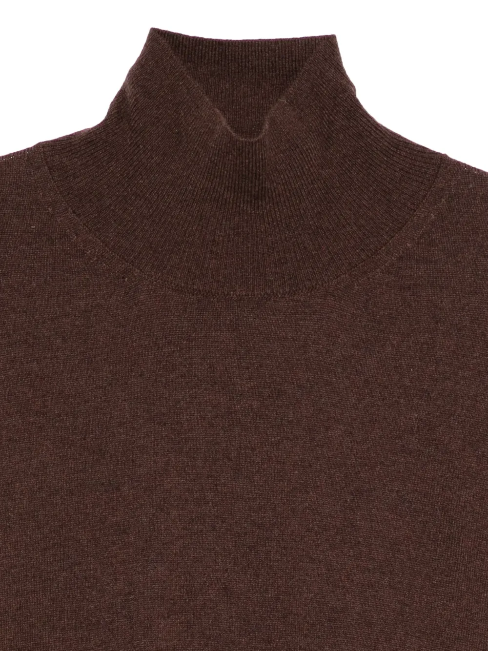Incentive! Cashmere Jelmo High-neck Jumper In Brown