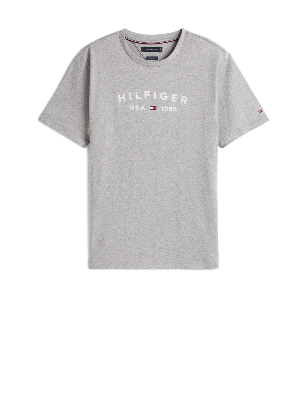 Tommy Hilfiger Grey T-shirt With Big Print. In Gray