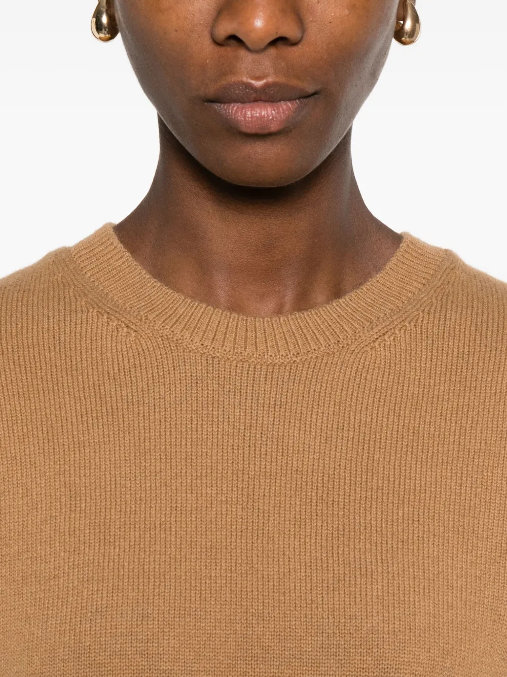Dunst Wool Crewneck Sweater In Brown
