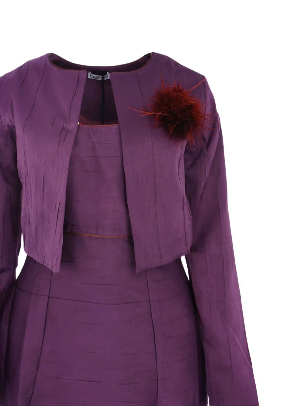 Baruni Feather-embellished Pleated Dress And Jacket Set In Multi