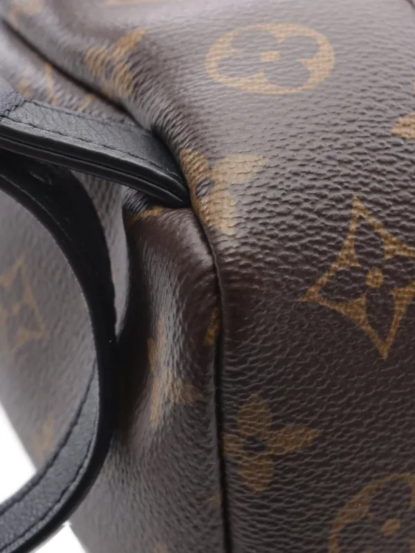 Louis Vuitton Pre-Owned 2021 Palm Springs PM Monogram Backpack