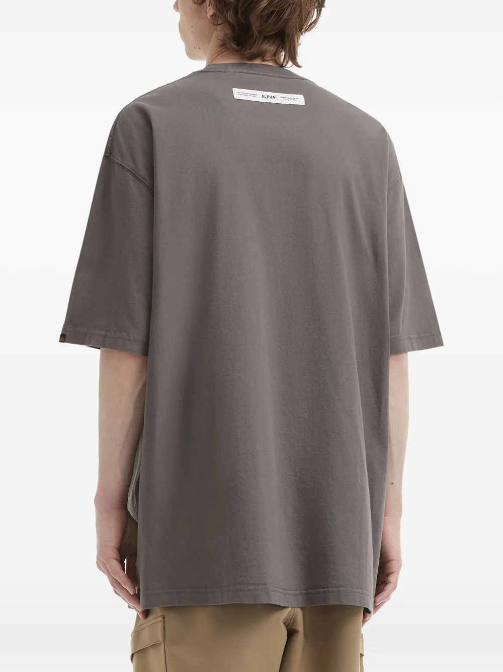 Alpha Industries Skull Graphic T-shirt In Gray
