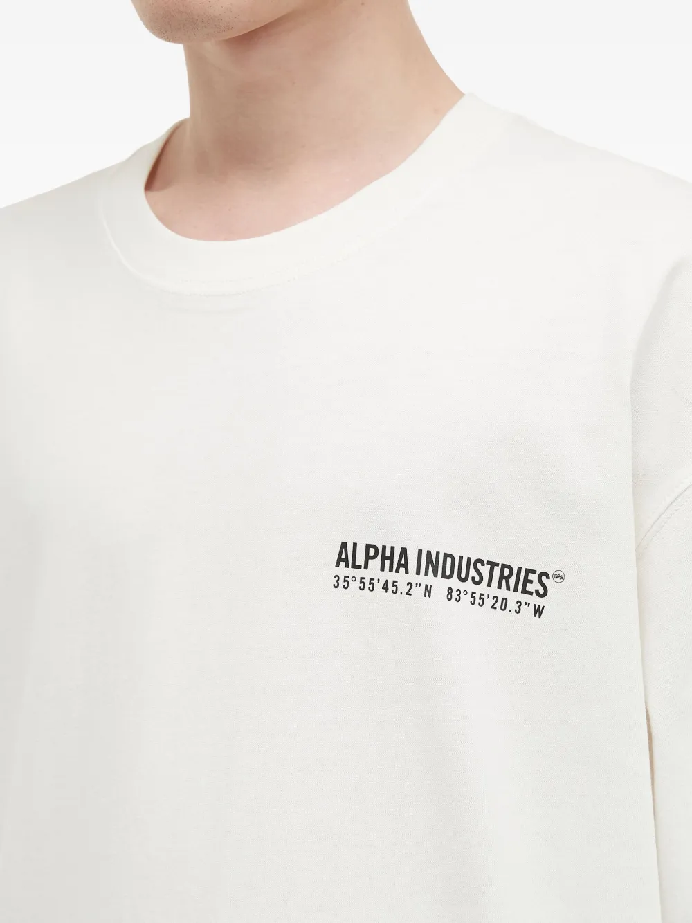 Alpha Industries Logo-print Graphic T-shirt In Gray
