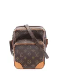 Louis Vuitton Pre-Owned 2006 Amazon monogram shoulder - Brown
