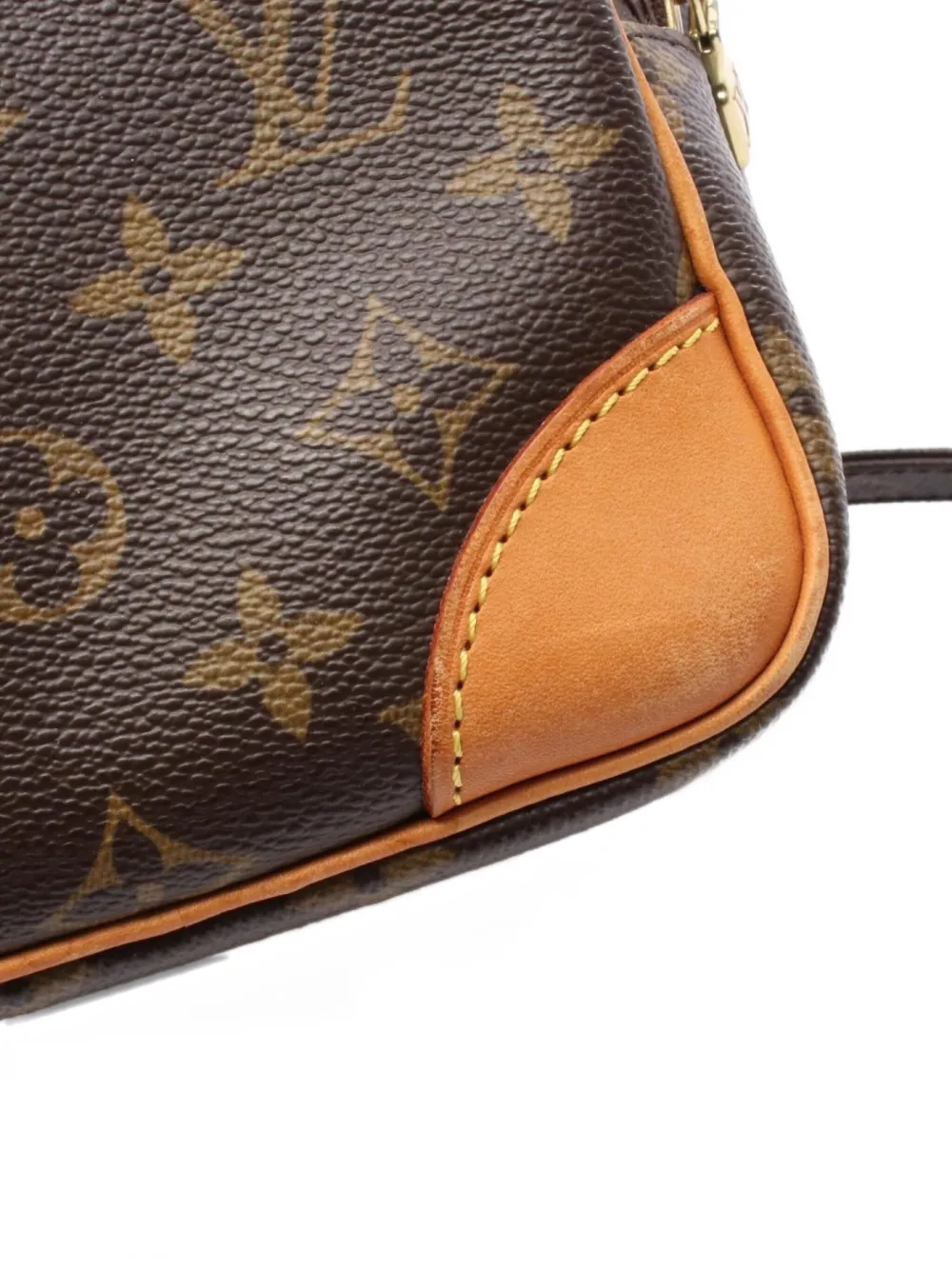 Pre-owned Louis Vuitton 2006 Amazon Monogram Shoulder In Brown