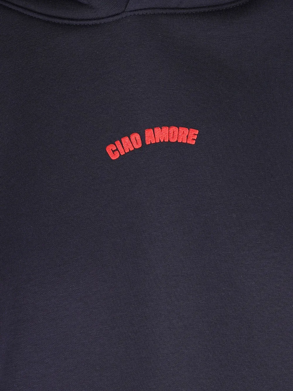 Giada Benincasa Hoodie met logoprint Blauw