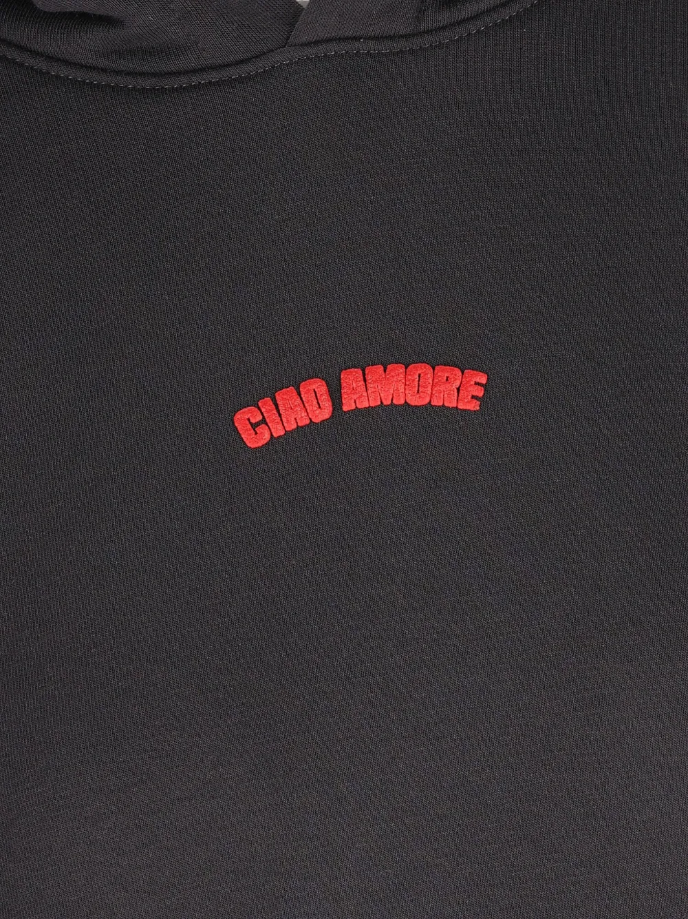 Giada Benincasa Hoodie met logoprint Zwart