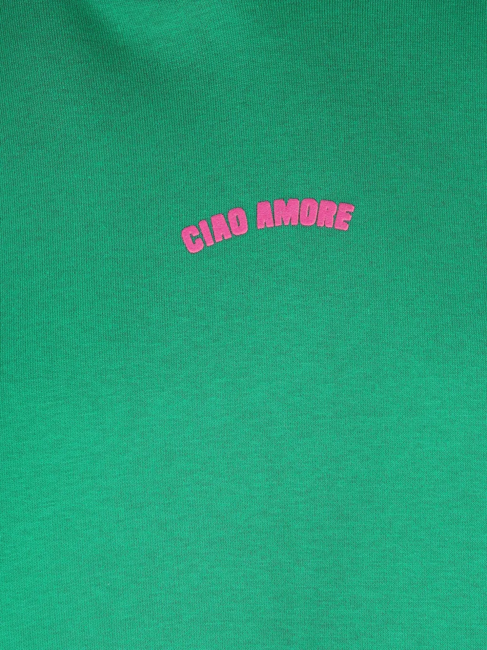 Giada Benincasa Hoodie met logoprint Groen