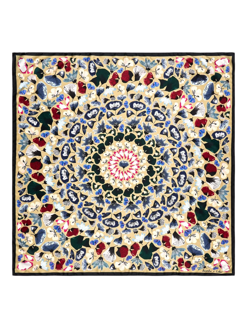 Bimba Y Lola Floral-print Scarf In Multi