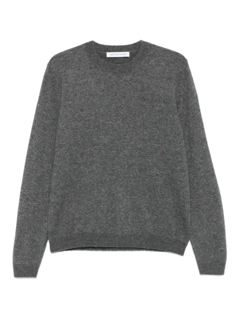 Iris Von Arnim crew-neck sweater