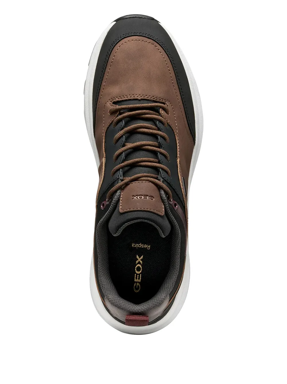 Geox Logo-plaque Sneakers In Brown