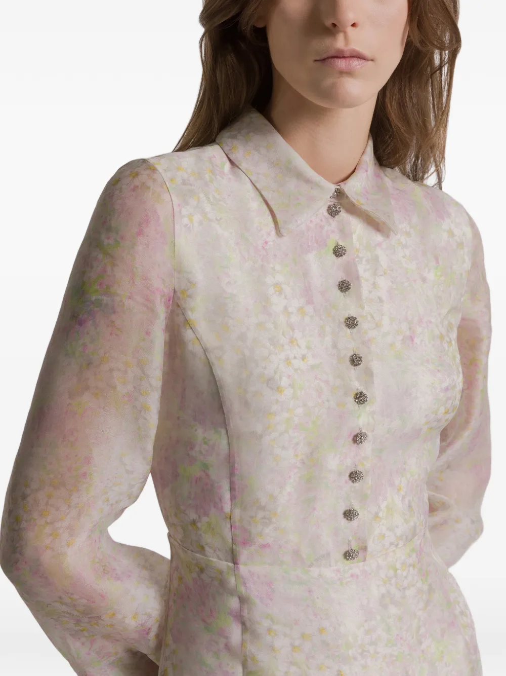 Alberta Ferretti Maxi-jurk met bloemenprint Beige
