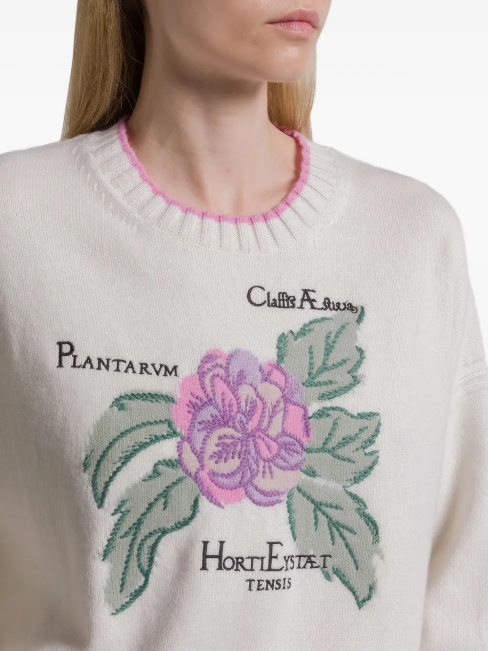 Alberta Ferretti Trui met bloemen Beige