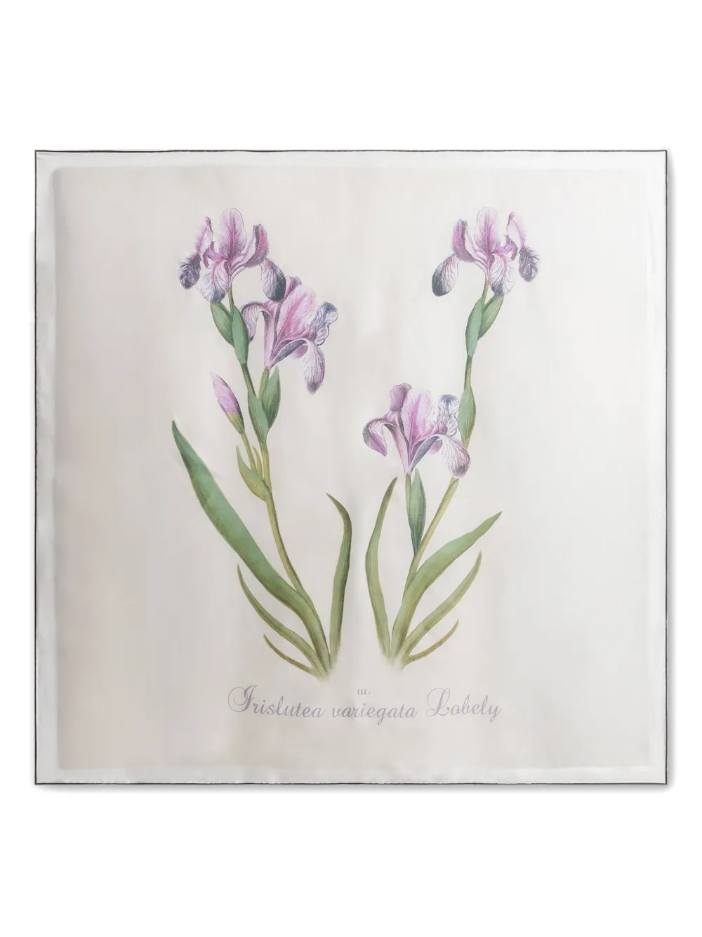 Alberta Ferretti Floral Silk Scarf In Neutral