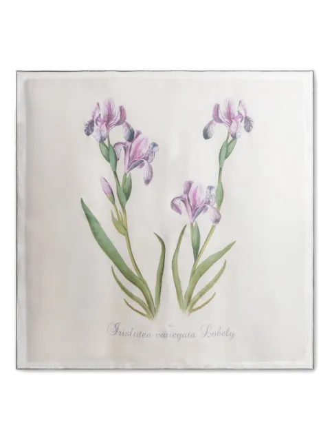 Alberta Ferretti floral silk scarf