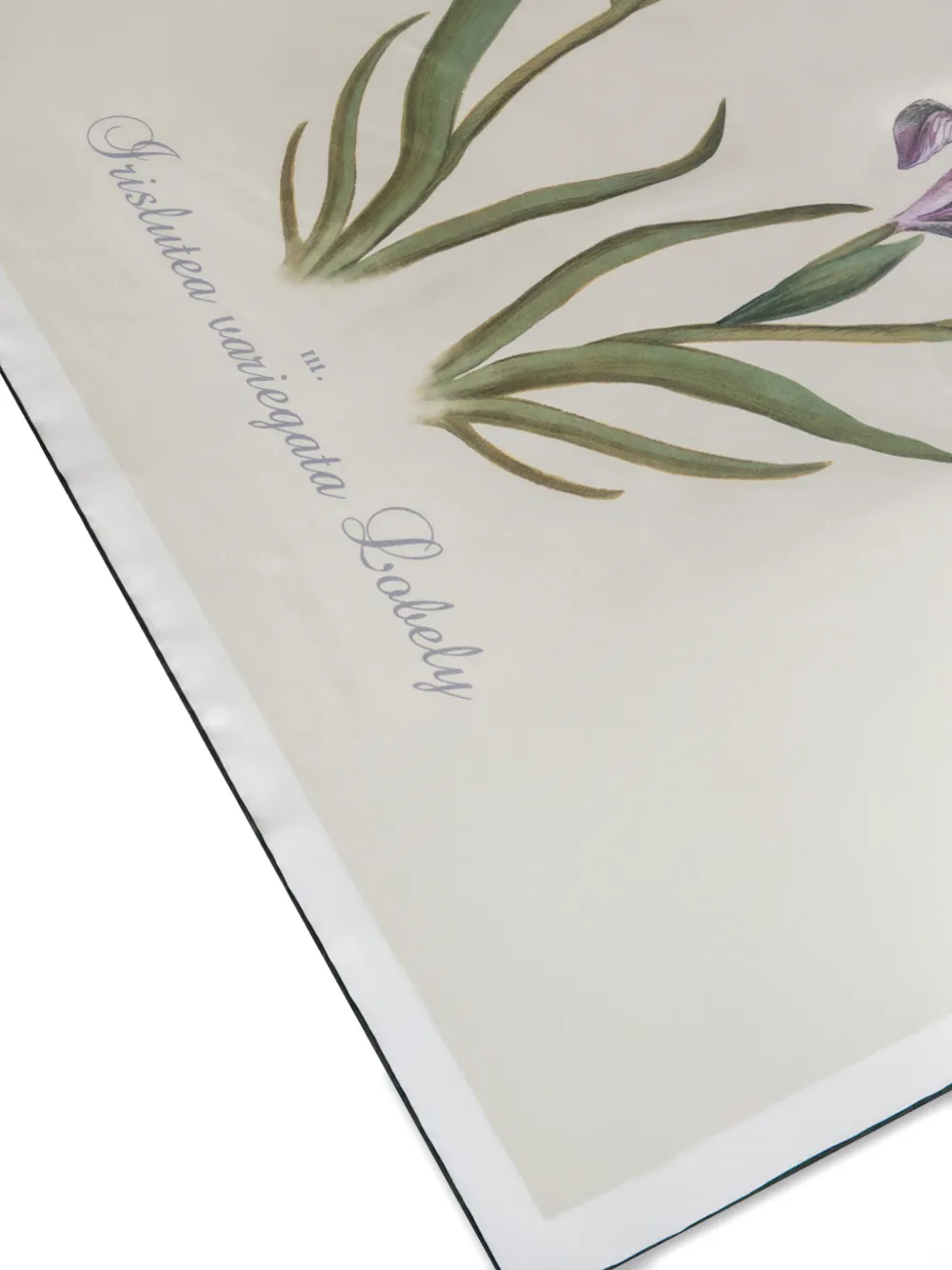 Alberta Ferretti Floral Silk Scarf In Neutral