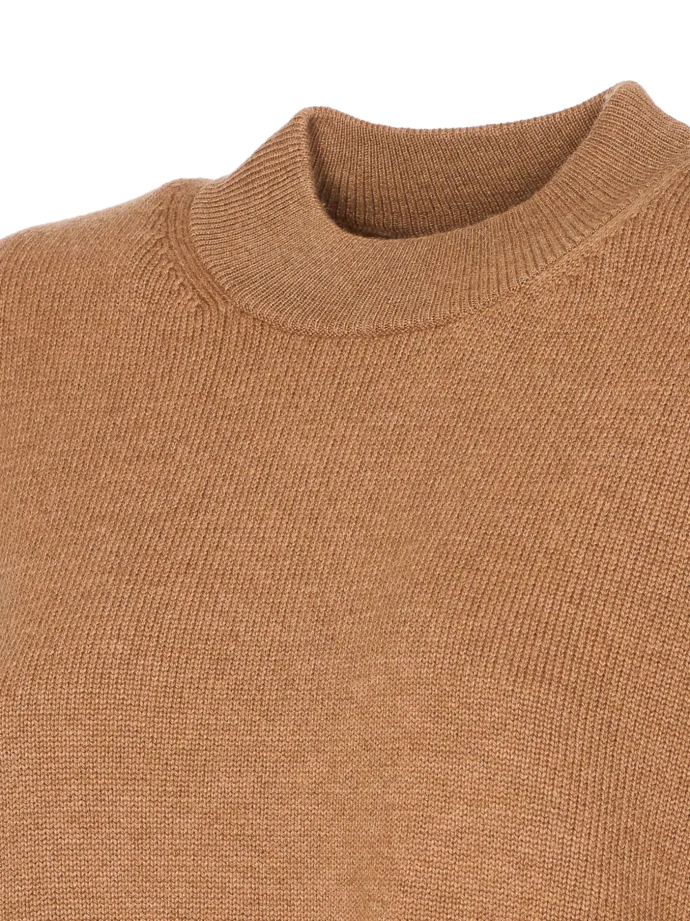 Max Mara Sleeveless Top With Crew Neck And Long Sleeves In Brown