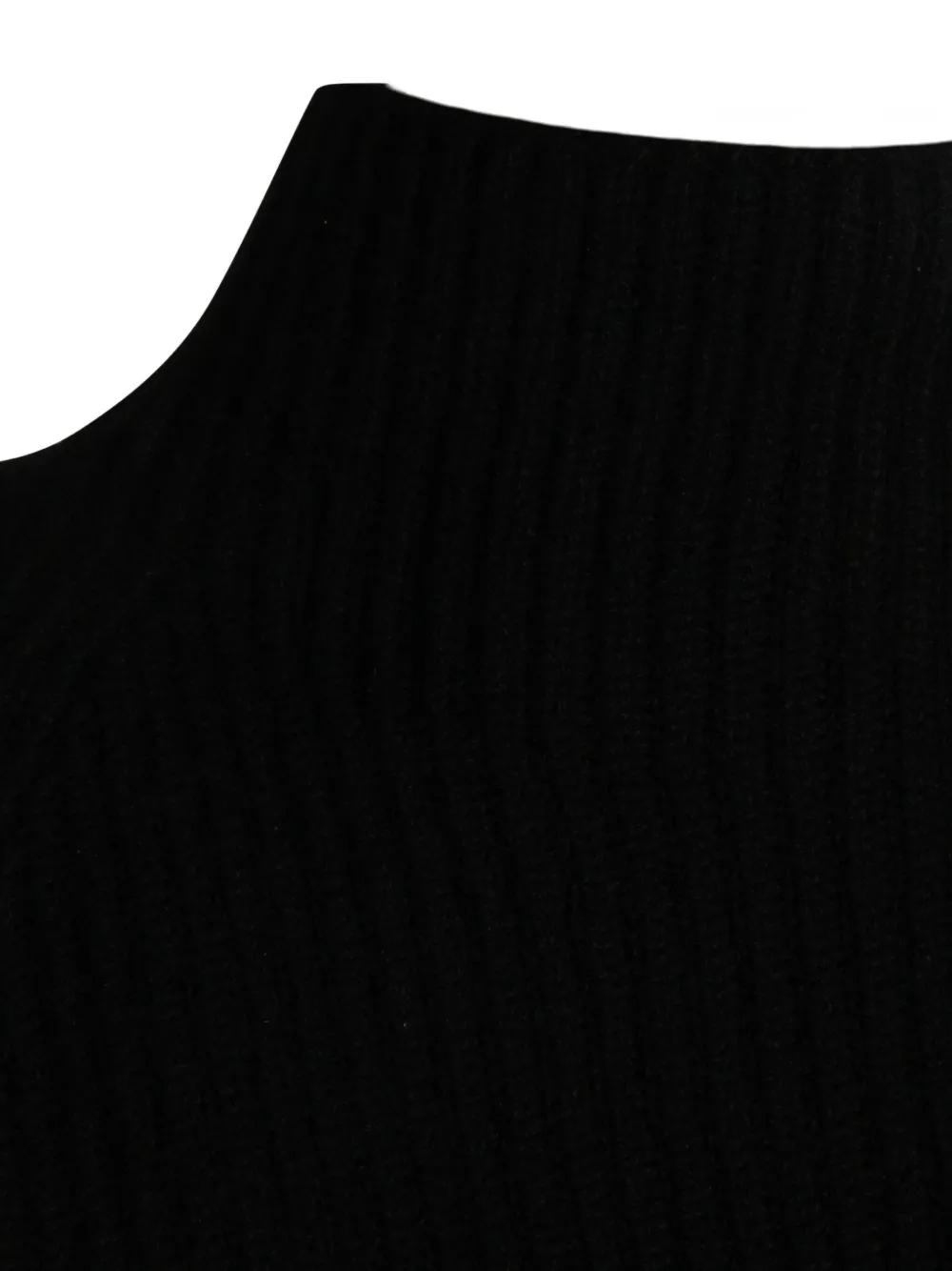 Kujten Sleeveless Ribbed Knit High Neck Top In Black