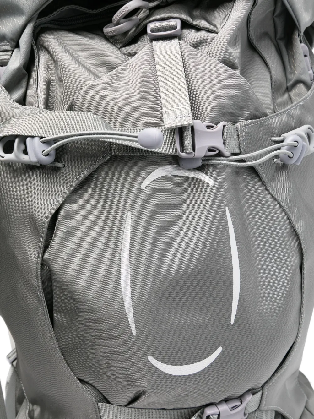 Osprey Ariel 65 Backpack In Gray