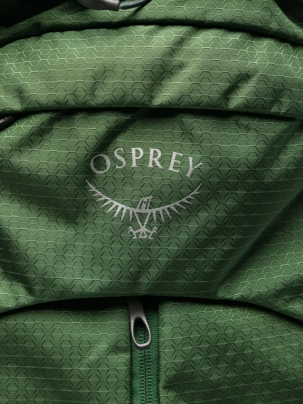 Osprey Hexagon-pattern Backpack In Green