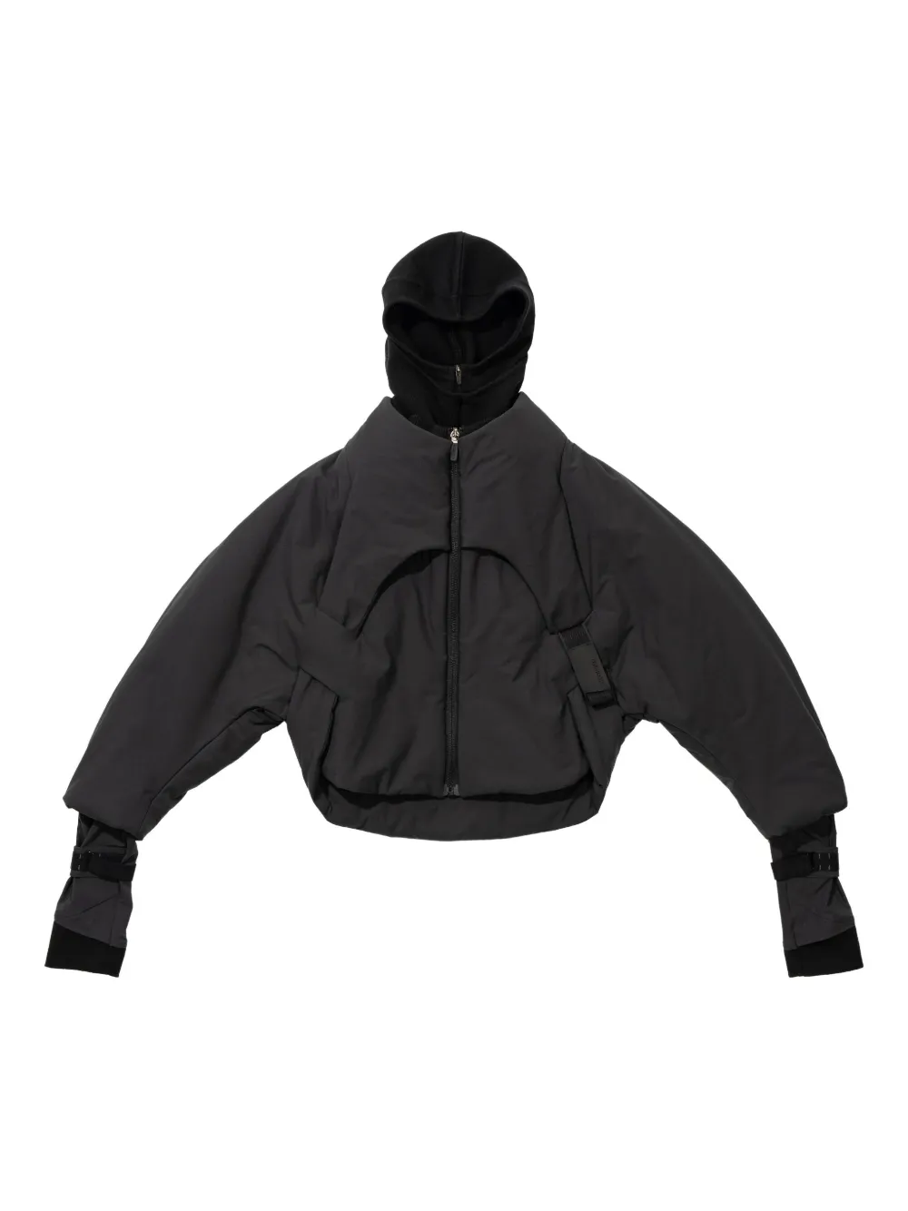 Hyein Seo Hooded Puffer Jacket In Black