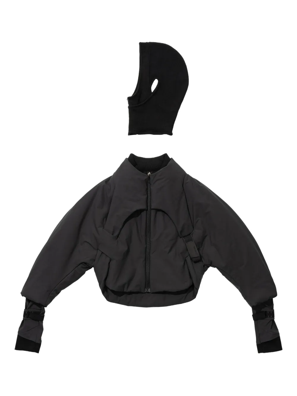 Hyein Seo Hooded Puffer Jacket In Black