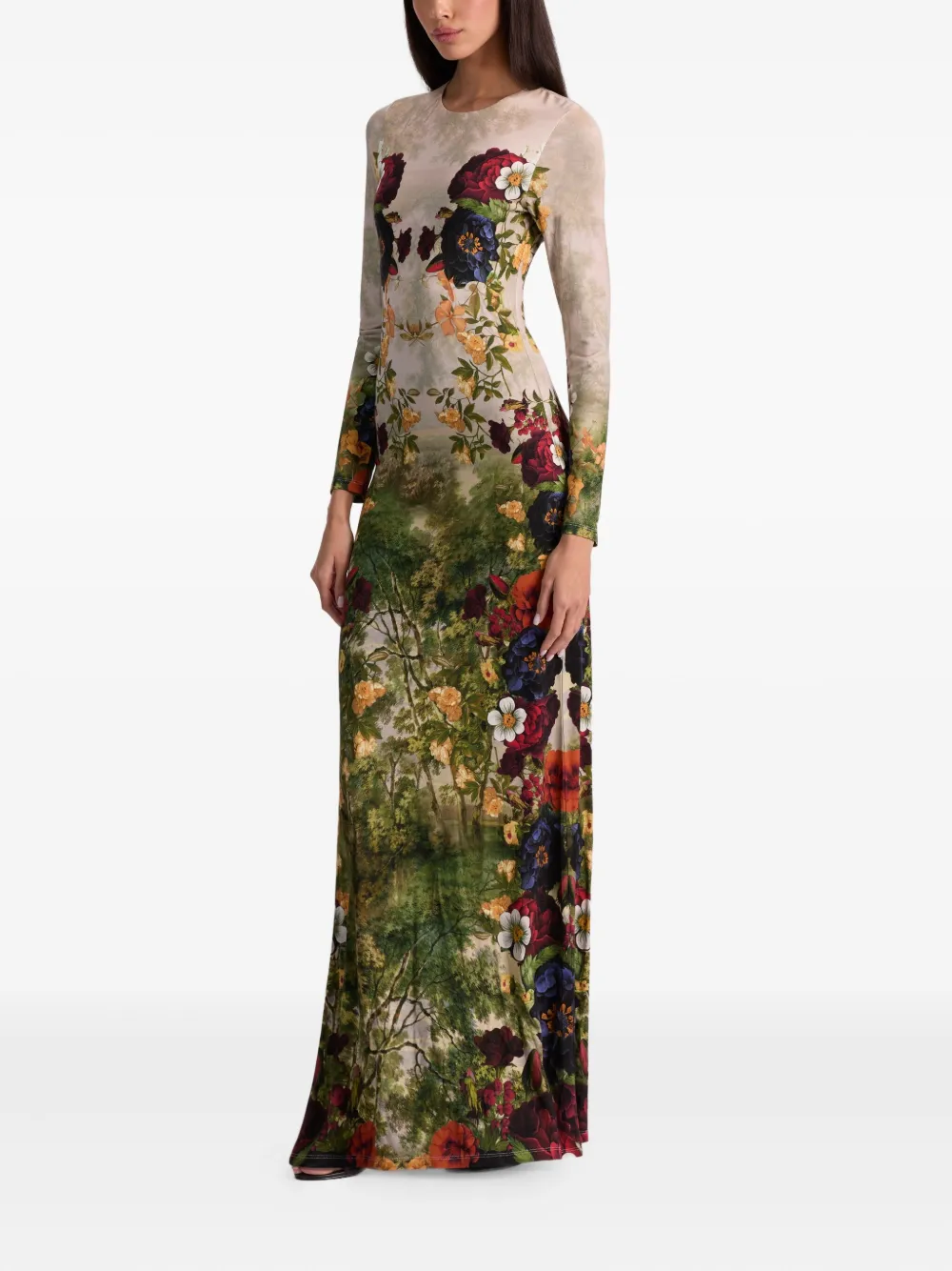 Alice And Olivia Delora Floral-print Long-sleeve Maxi Dress In Multi