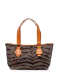 Fendi Pre-Owned 2000-2010 Zebra Print Canvas handbag - Brown