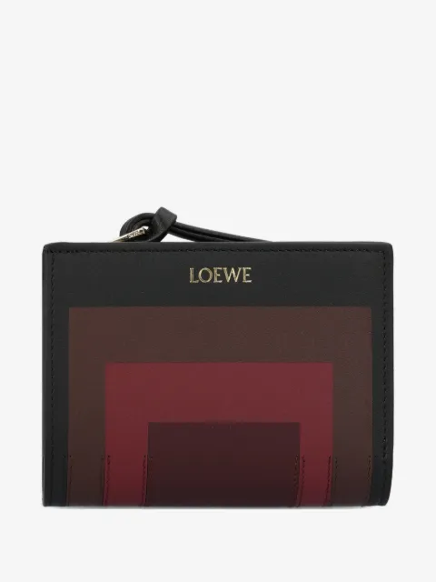 LOEWE cartera con paneles