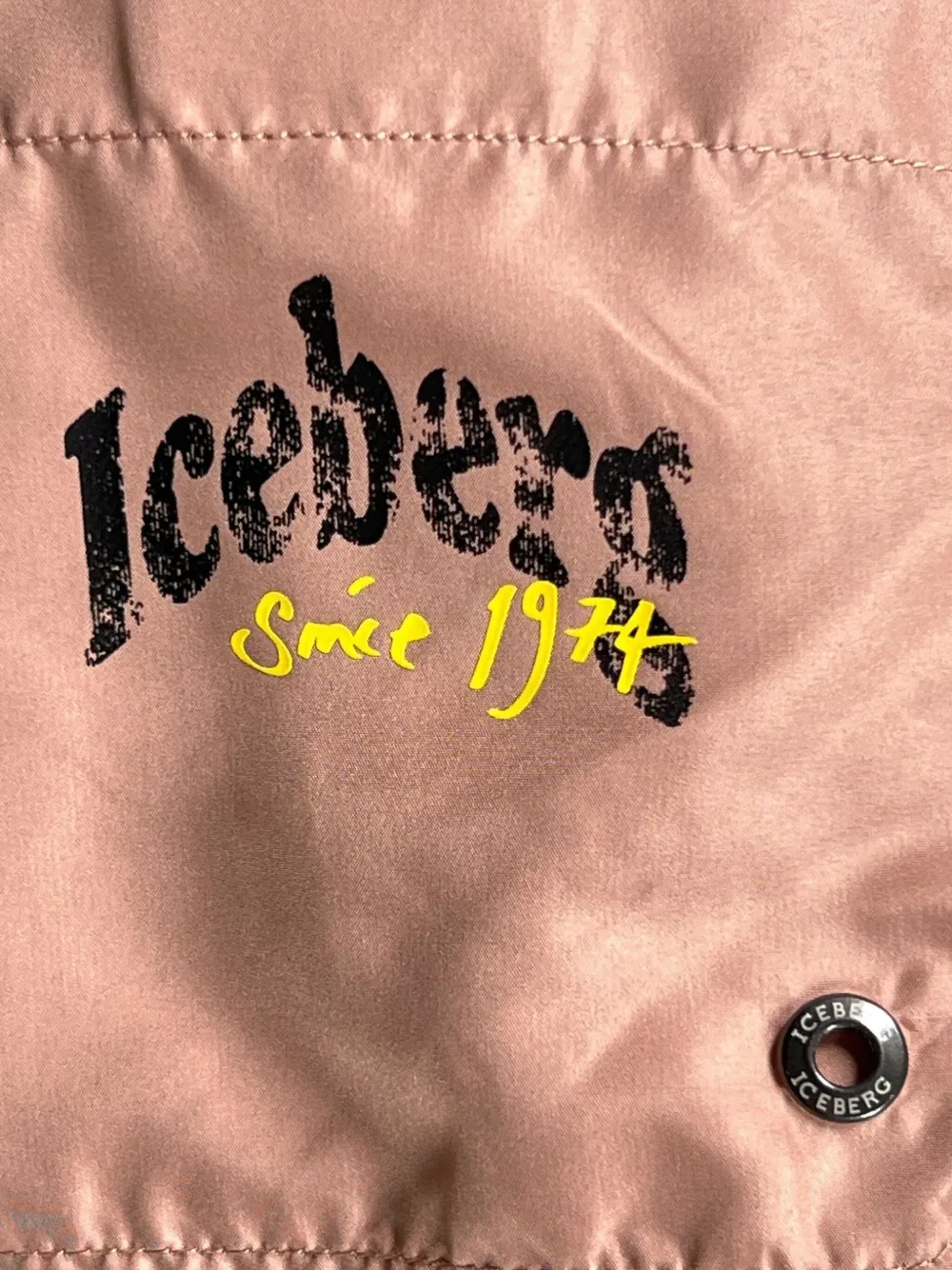 Iceberg Graphic-print Swim Shorts In Brown