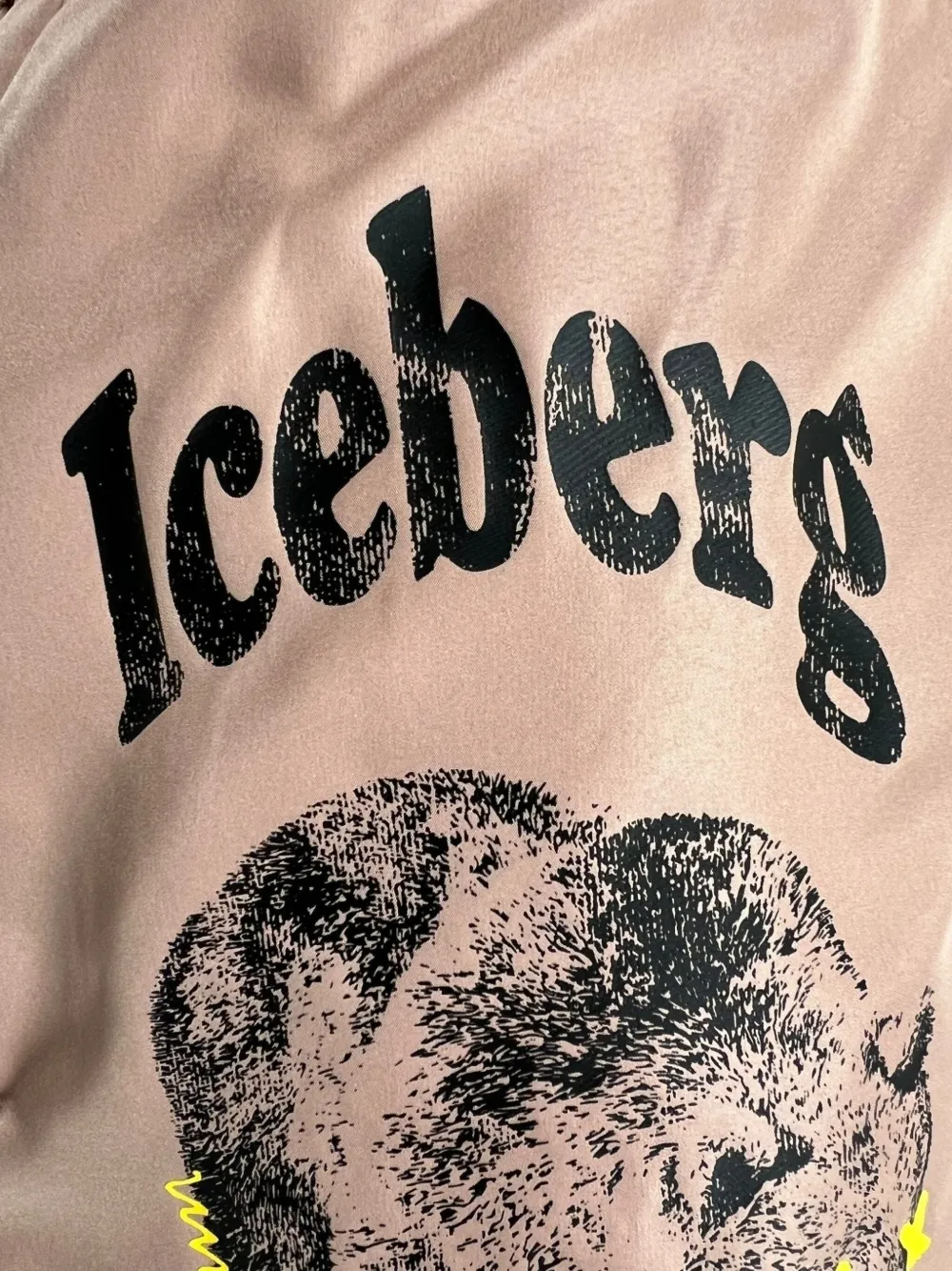 Iceberg Graphic-print Swim Shorts In Brown
