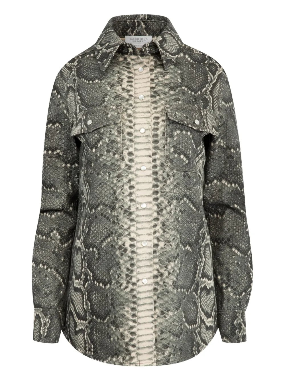 Gabriela Hearst John Austin Shirt In Multi