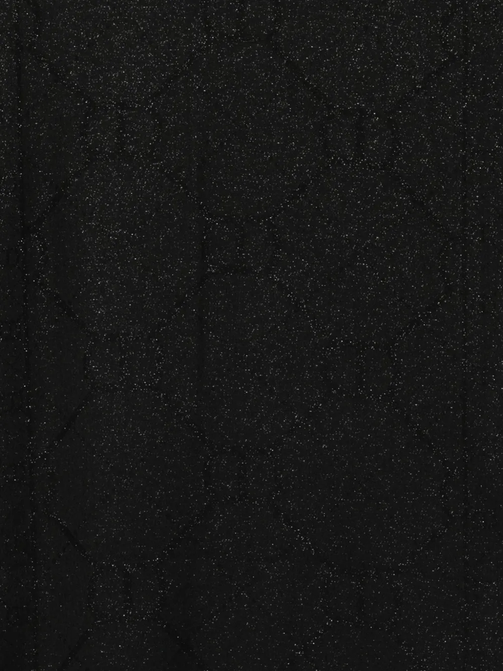 TWINSET glitter-detail scarf | Image 2