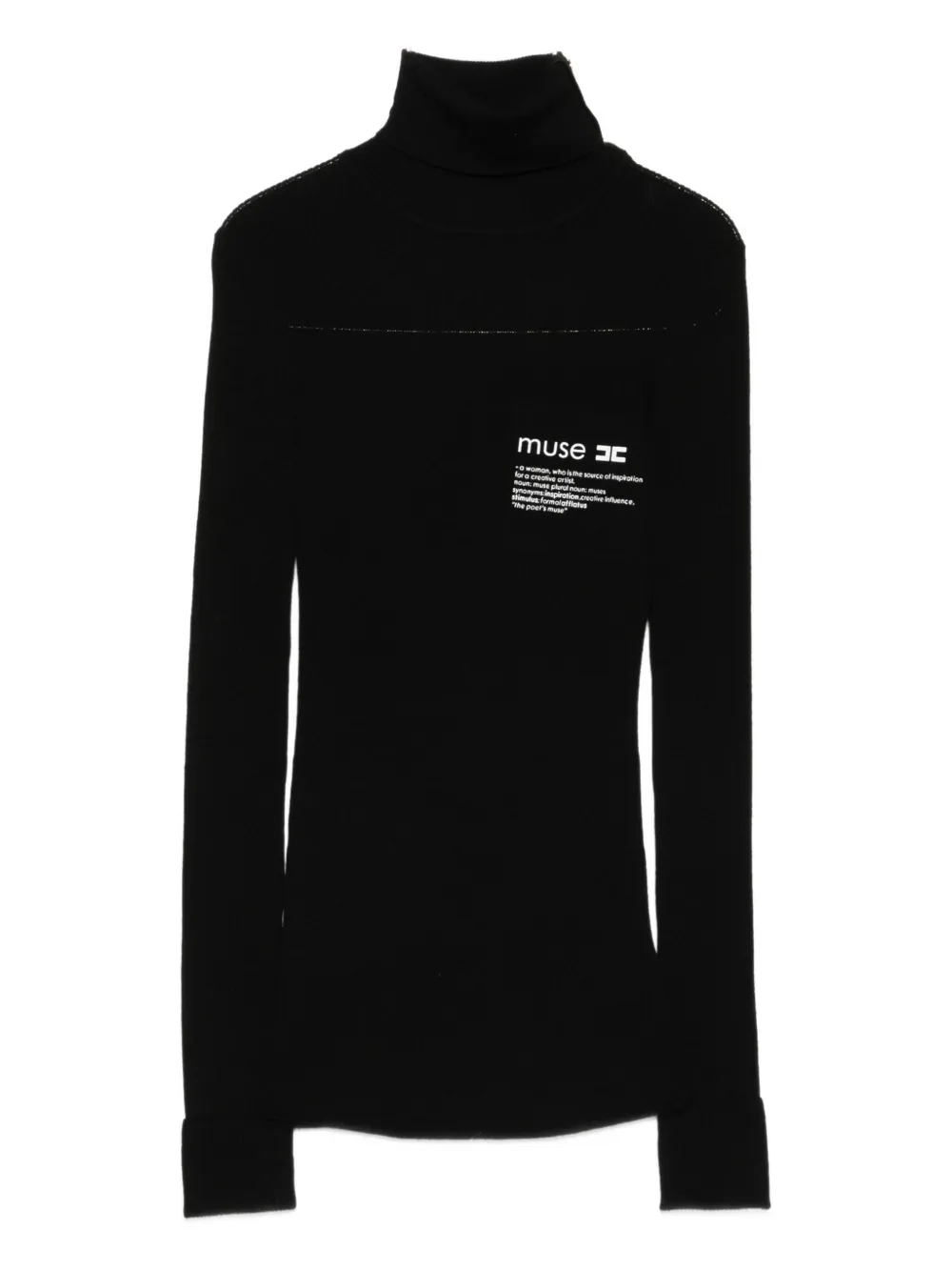 Elisabetta Franchi Turtleneck Logo-motif Sweater In Black
