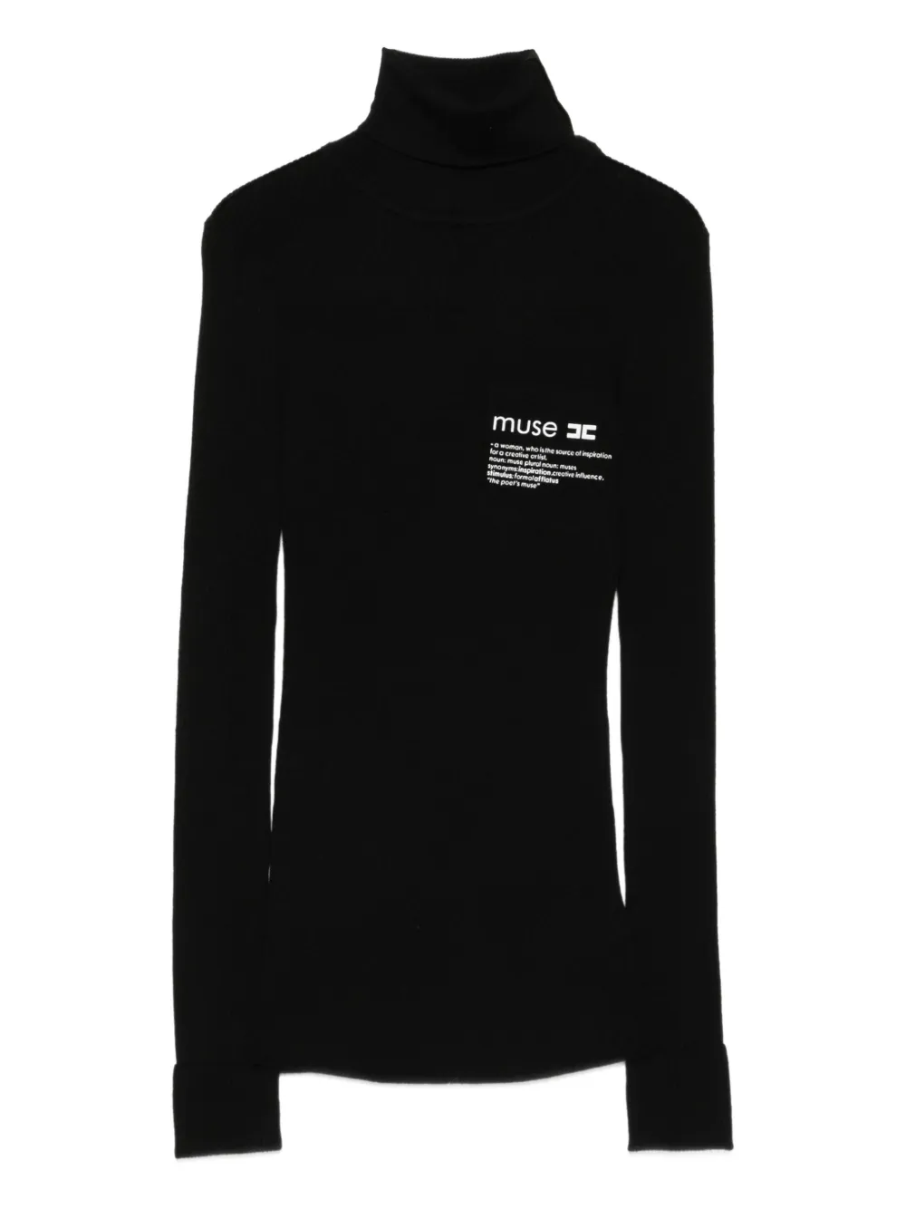 Elisabetta Franchi turtleneck logo-motif sweater | Black | Image 1