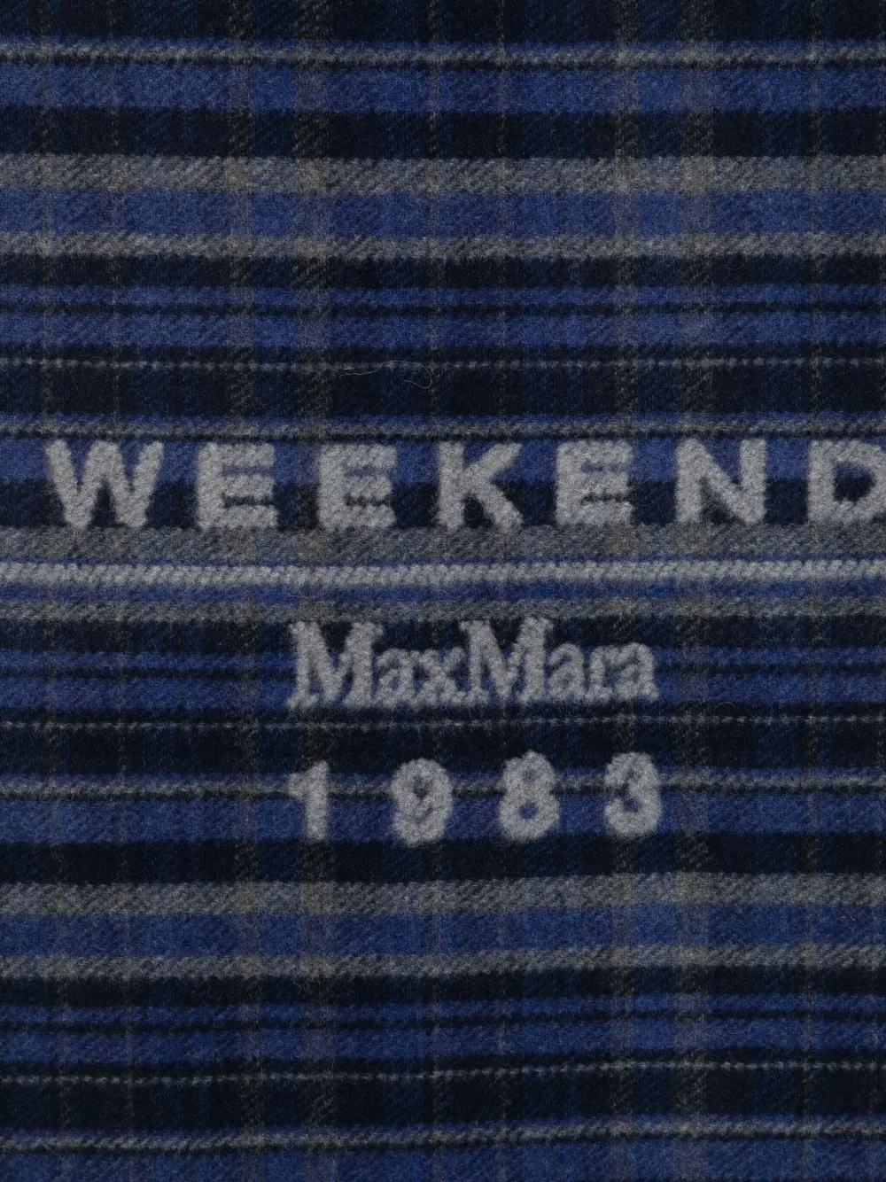 Weekend Max Mara Fringed Scarf In Blue