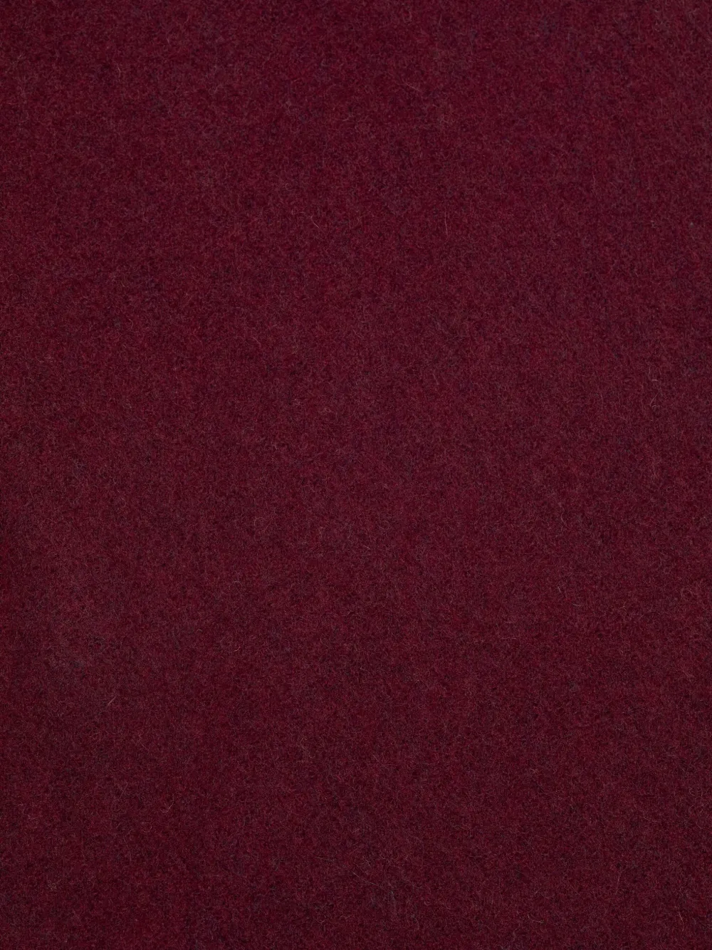 Acne Studios Fringed Scarf In Brown