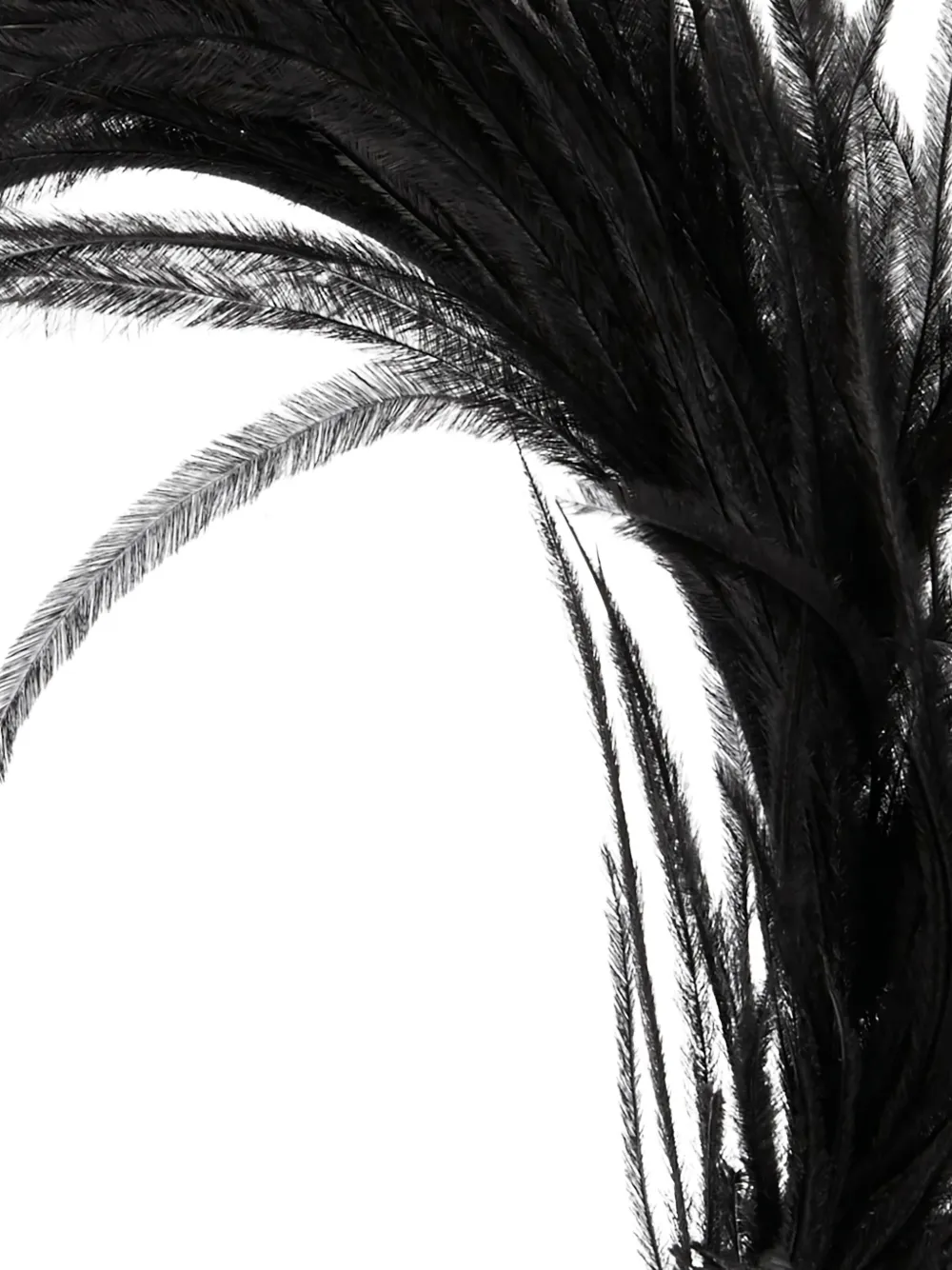 Maison Michel Feather-embellished Headband In Black