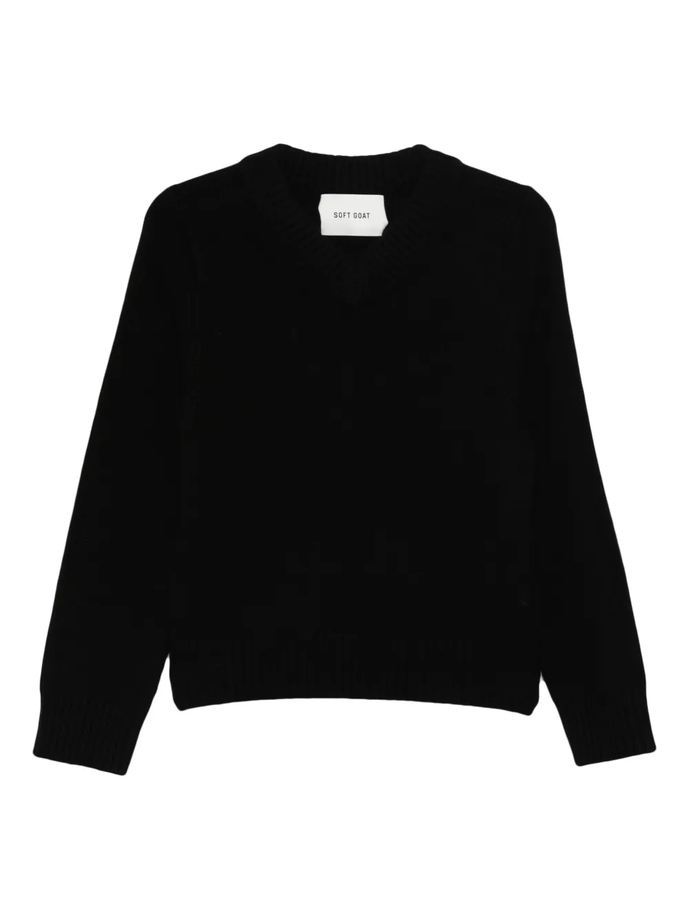 Soft Goat V-neck Sweater In Black
