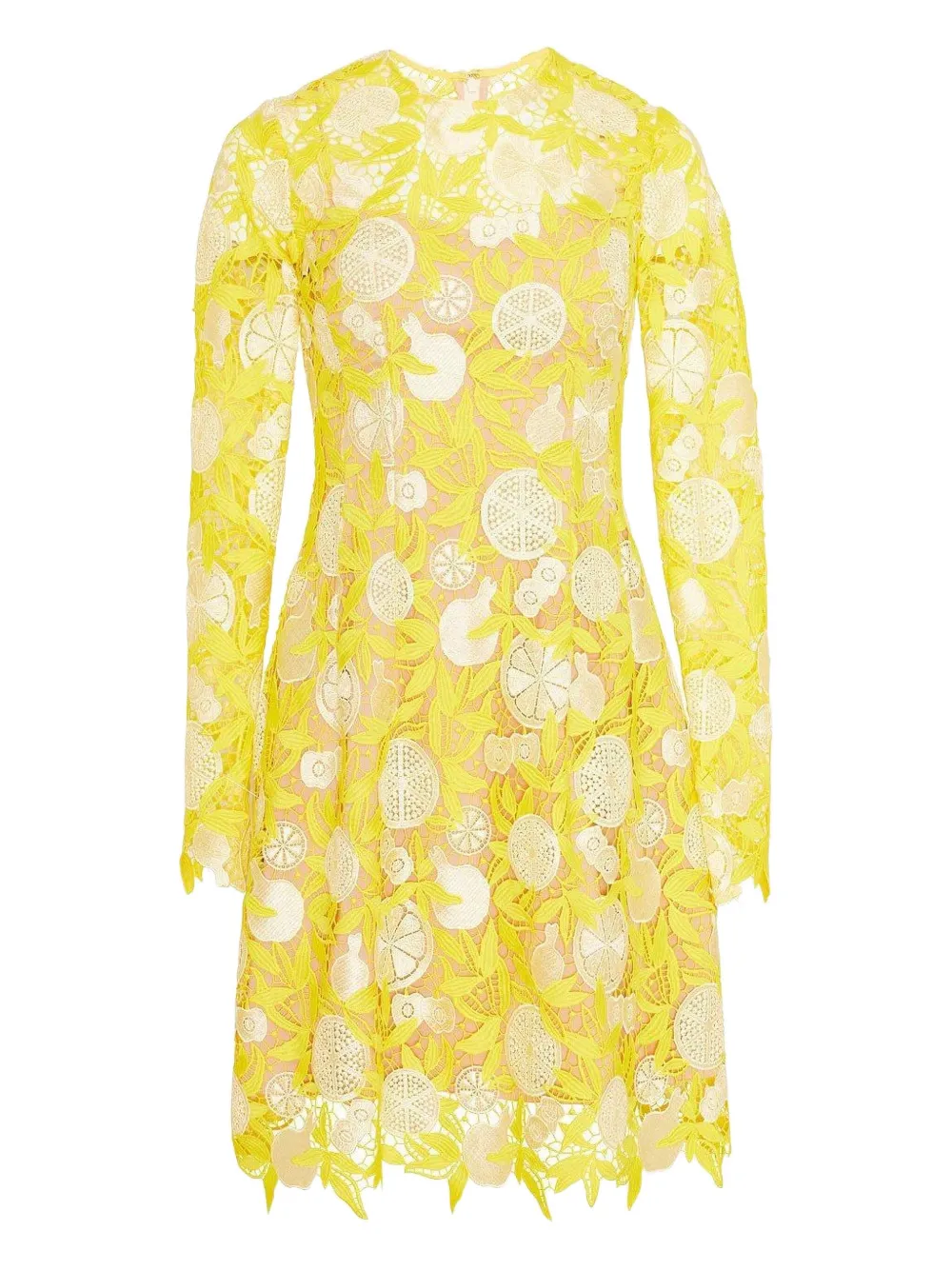 Lela Rose Holly Fruit-motif Lace Mini Dress In Yellow