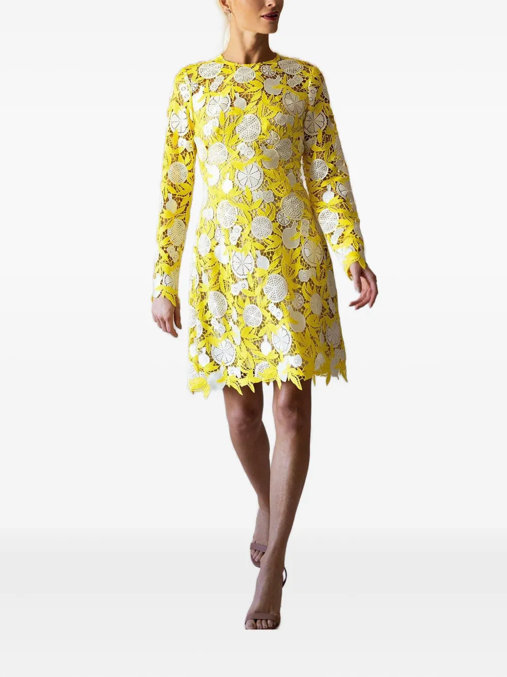 Lela Rose Holly Fruit-motif Lace Mini Dress In Yellow
