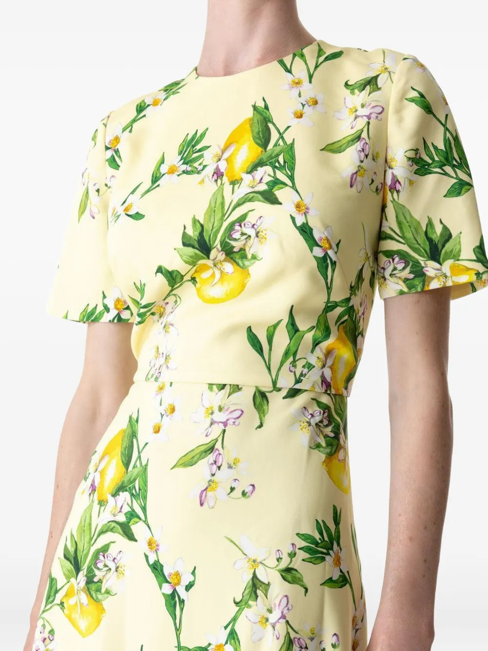 Monique Lhuillier Lemon-print Short-sleeve Gown In Yellow