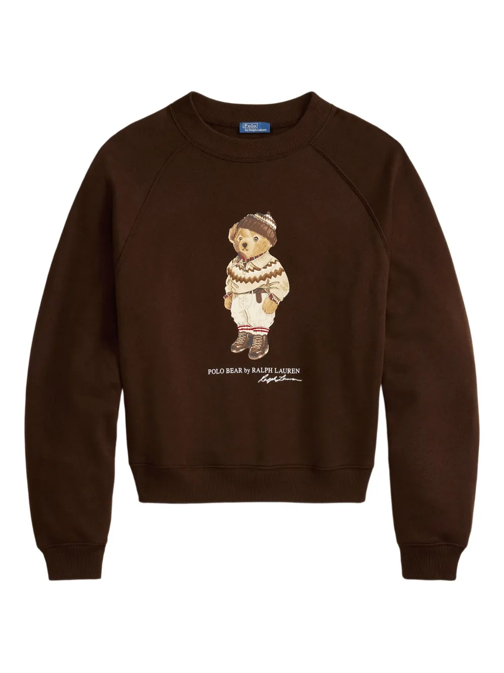 Polo Ralph Lauren Ralph Lauren Sweaters Brown | Brown | Image 1