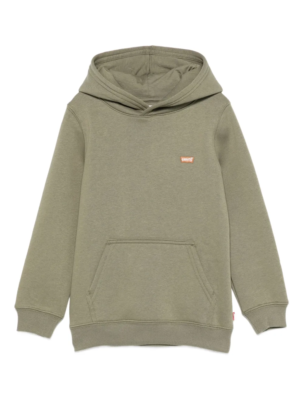 Levi's Kids cotton hoodie | Green | Image 1